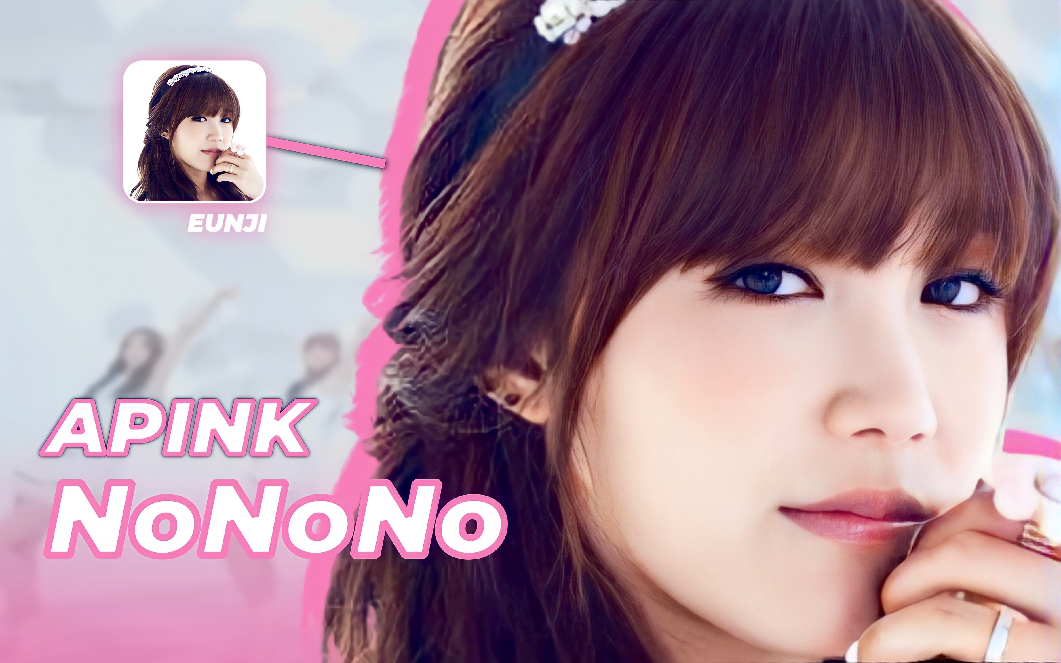 【时长分配+认人歌词】APINK - NoNoNo