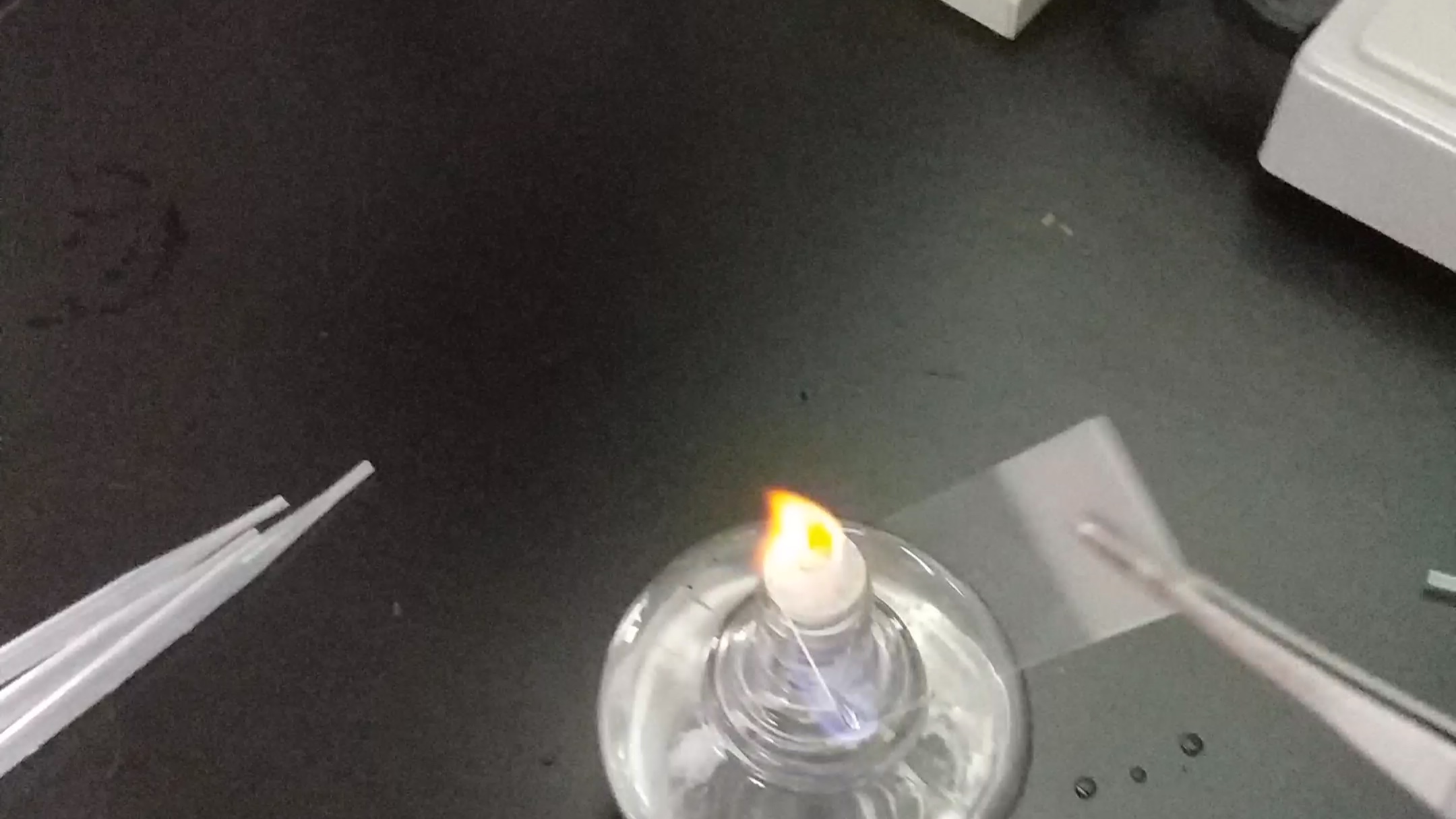 实验室火焰灼烧载玻片