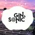 【Gin&Sonic】Future House Mix 长混 2020年5月