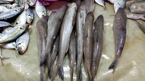 鱼多久能腌入味 d5aff5fee45fcaec7b7f79af01930c1ec3524c15.jpg@480w_270h_1c