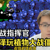 陈泽植物大战僵尸之二战指挥官_植物大战僵尸