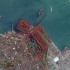 卫星视角下的中国港口