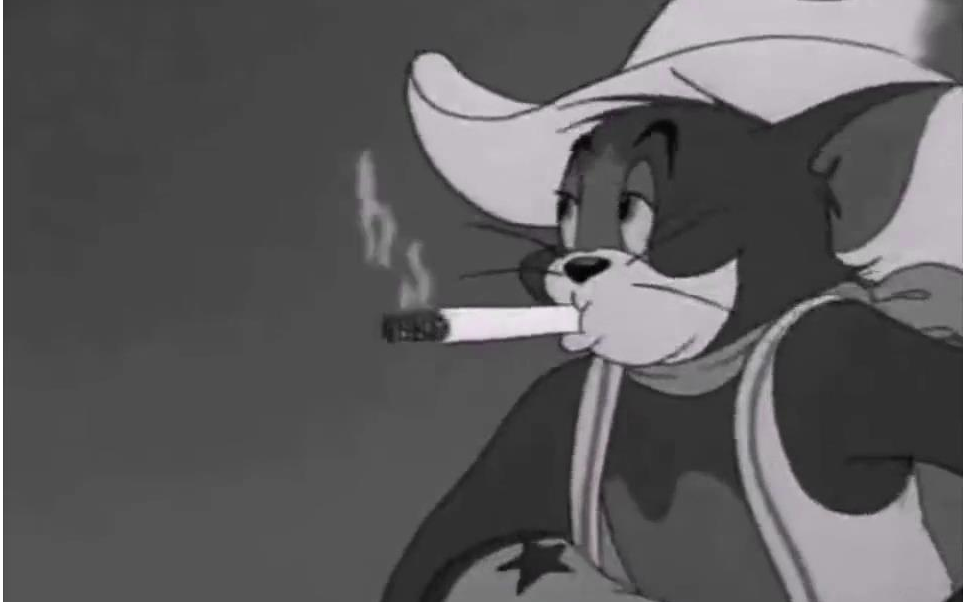 我是全猫和老鼠最骚的汤姆