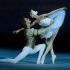 【芭蕾】布尔梅斯特版《天鹅湖》第二幕、第三幕片段Erika Mikirticheva，Denis Dmitriev  2