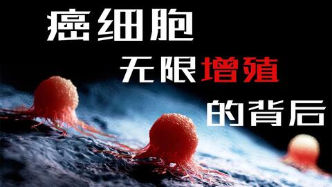 d6020b8b6a87d1bc23aa7ce90b4c27677226b3ee.jpg@480w_270h_1c