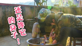 溪流钓鱼视频全集 d606b788ca6b65768983c0de1dba3c5db1973152.jpg@280w_158h_1c_100q.jpg