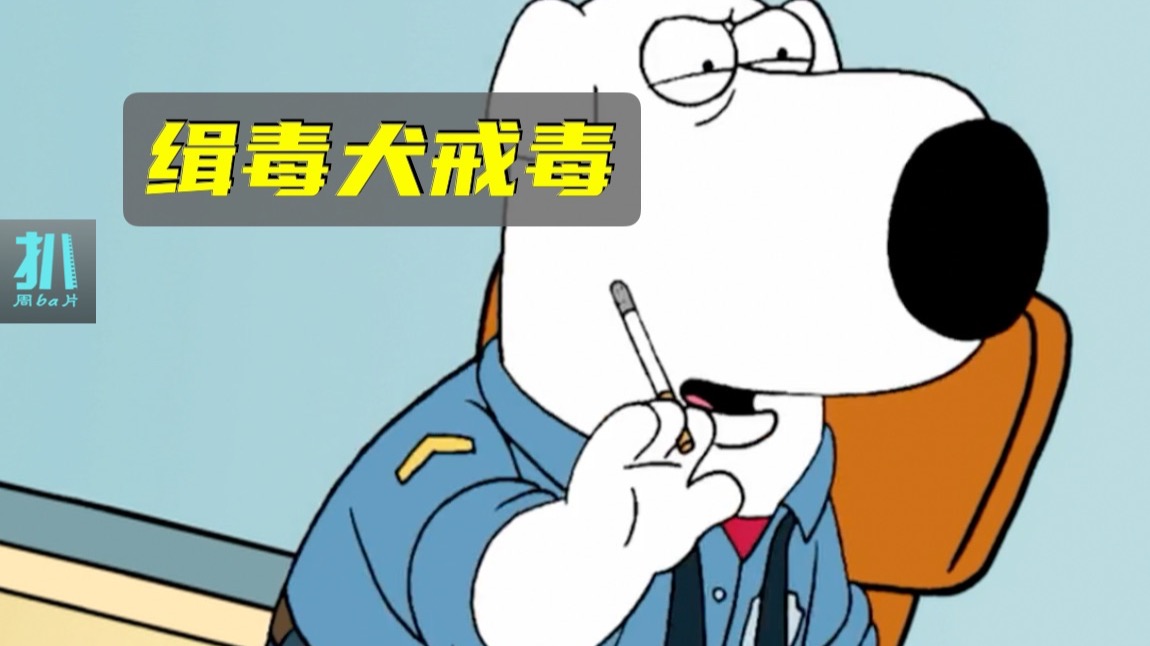 【扒】缉毒犬戒毒后闯荡好莱坞，端盘子度日《恶搞之家》
