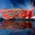 杨丽萍舞出中国极致浪漫，舞蹈《凤鸣朝阳》对传统文化深情致敬