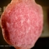 麦当劳安格斯牛肉北美烧烤风味汉堡广告片