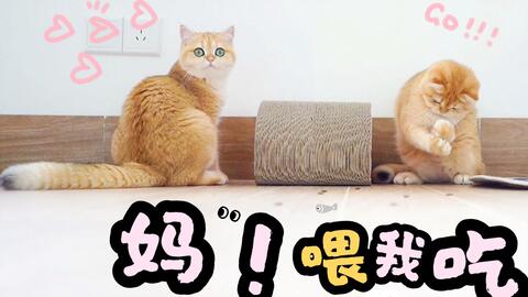 d624de5bd6f4c7f0e88c3b9c9ac702913f9090c8.jpg@480w_270h_1c