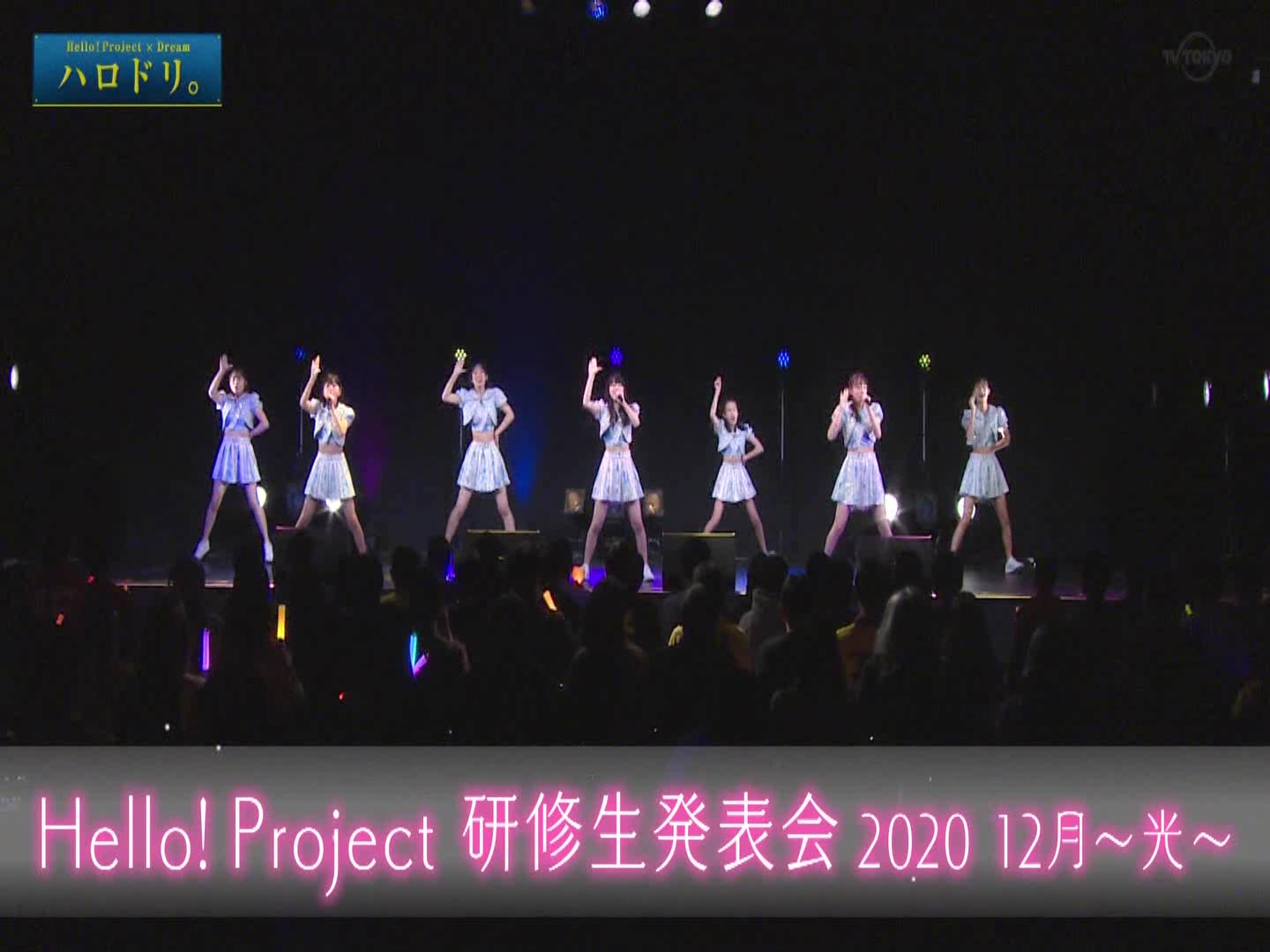 ハロドリ。 2021.01.04_哔哩哔哩_bilibili