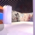 2021河北石家庄 动漫节 线上展馆展厅 WebGL unity VR 虚拟仿真展示