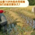 现今中国的农业靠70岁的老农民艰难的支撑，他们还能支撑多久？
