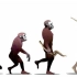 人类进化史-并不存在所谓的“第一个人”@油兔不二字幕组