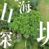 【山海深圳】荔香公园? Nature in Shenzhen  / 山海深圳系列 | 无人机 航拍 深圳