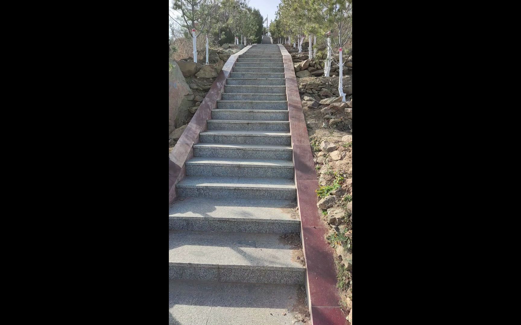 Sai Shan Forest Park, it's really not suitable for climbing in the wind.