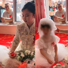 女子带着女儿一起出嫁，女儿身披白婚纱吓人一跳：到底谁嫁人
