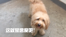 d65e7ccb35912f9918de2d4a3a7ae6b7c21f6cfe.jpg@280w_158h_1c_100q.jpg