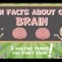 关于大脑的有趣事实 Fun facts about our brain