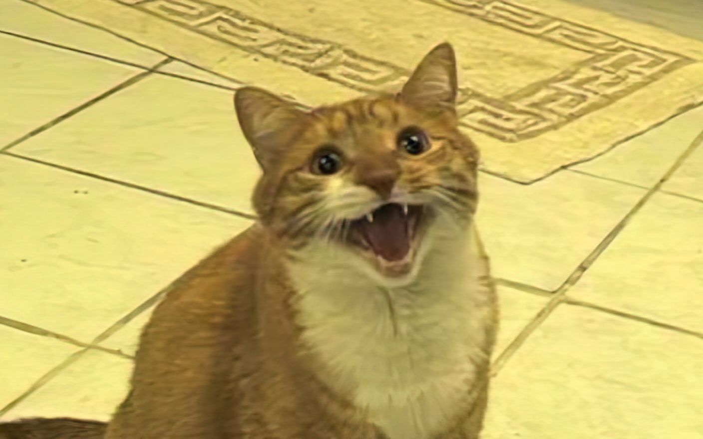 182-mordonfreeman-mordonfreeman