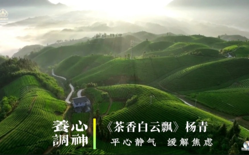 『五音疗疾』养心怡情，缓解焦虑，放松减压，平心静气。乏力疲劳，心烦意乱可常听用。