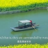 【英音】美丽中国 纪录片 全集12部分（中英双字幕）