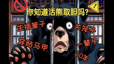 你知道<em class="keyword">活熊取胆</em>有多残忍吗？