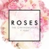 【XMS字幕组】Roses - The Chainsmokers 惊艳的电音