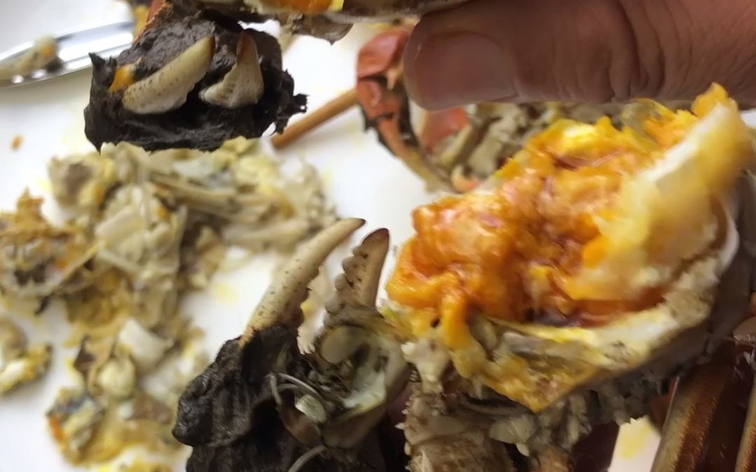 公蟹和母蟹有什么区别，你会吃大闸蟹么？，#美食#海鲜