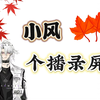 20250421      小风个播录屏  【皮套】 内容:唠嗑/连线林一阳快乐予/连线林一阳梦伴断线/连线梦伴合唱/唱歌/游戏时间