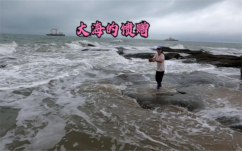 海水正退大潮,小郑赶海发现巨浪冲上来"神秘巨物,当场乐坏了