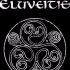 【电吉他】Eluveitie-A Rose for Epona翻弹