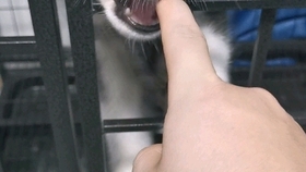 d76cf5a46b1758b71df1e85c0d92a4aba2231f5c.jpg@280w_158h_1c_100q.jpg