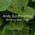 Rivers and Tides - Andy Goldsworthy Working With Time《河流与潮汐：