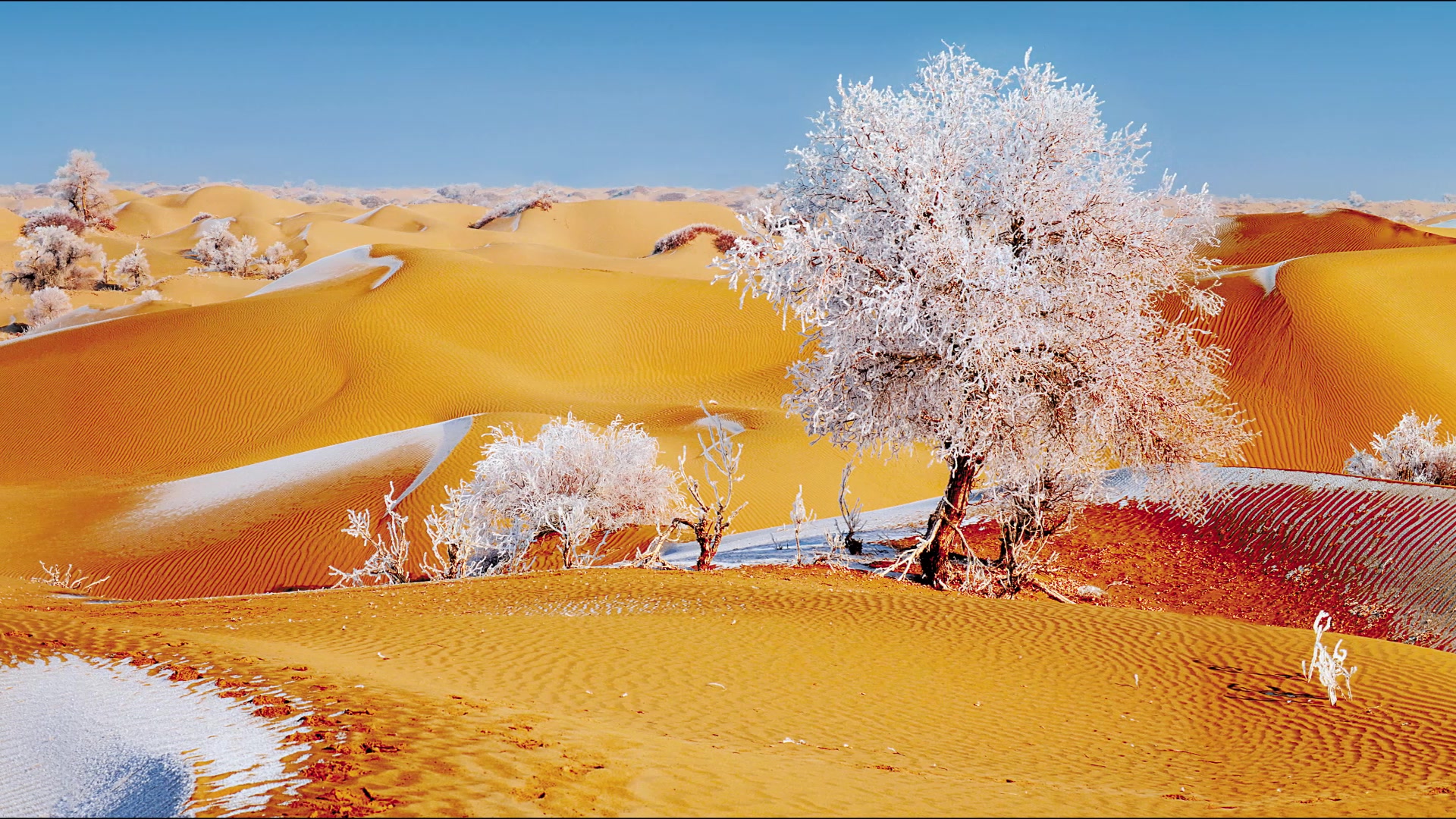 我国最大的沙漠，位于新疆的“塔克拉玛干沙漠”是怎样形成的？ - 知乎