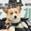 福仔：明明是公安编制，却干起了文旅的工作