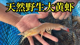 d7cb623b2058b5d740a3f7f4b764d4bec1f755ad.jpg@280w_158h_1c_100q.jpg