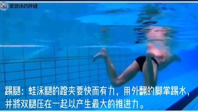 d7e67cfeecf116b5450ace103cfc21d37f89c15e.jpg@280w_158h_1c_100q.jpg