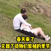 春天来了，又到了动物们繁殖的季节