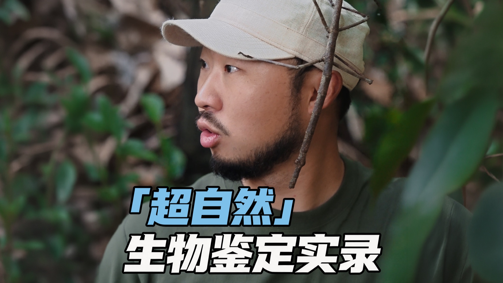 西双版纳雨林惊现“超自然”现象？