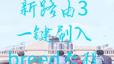 新路由3一键刷入<em class="keyword">breed</em>控制台教程【sharingman分享君2019】