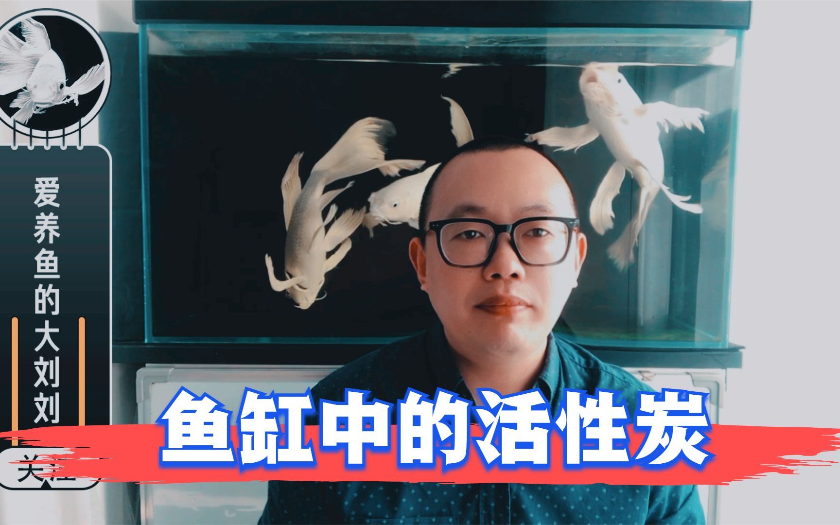 鱼缸中活性炭的作用，以及使用注意事项。