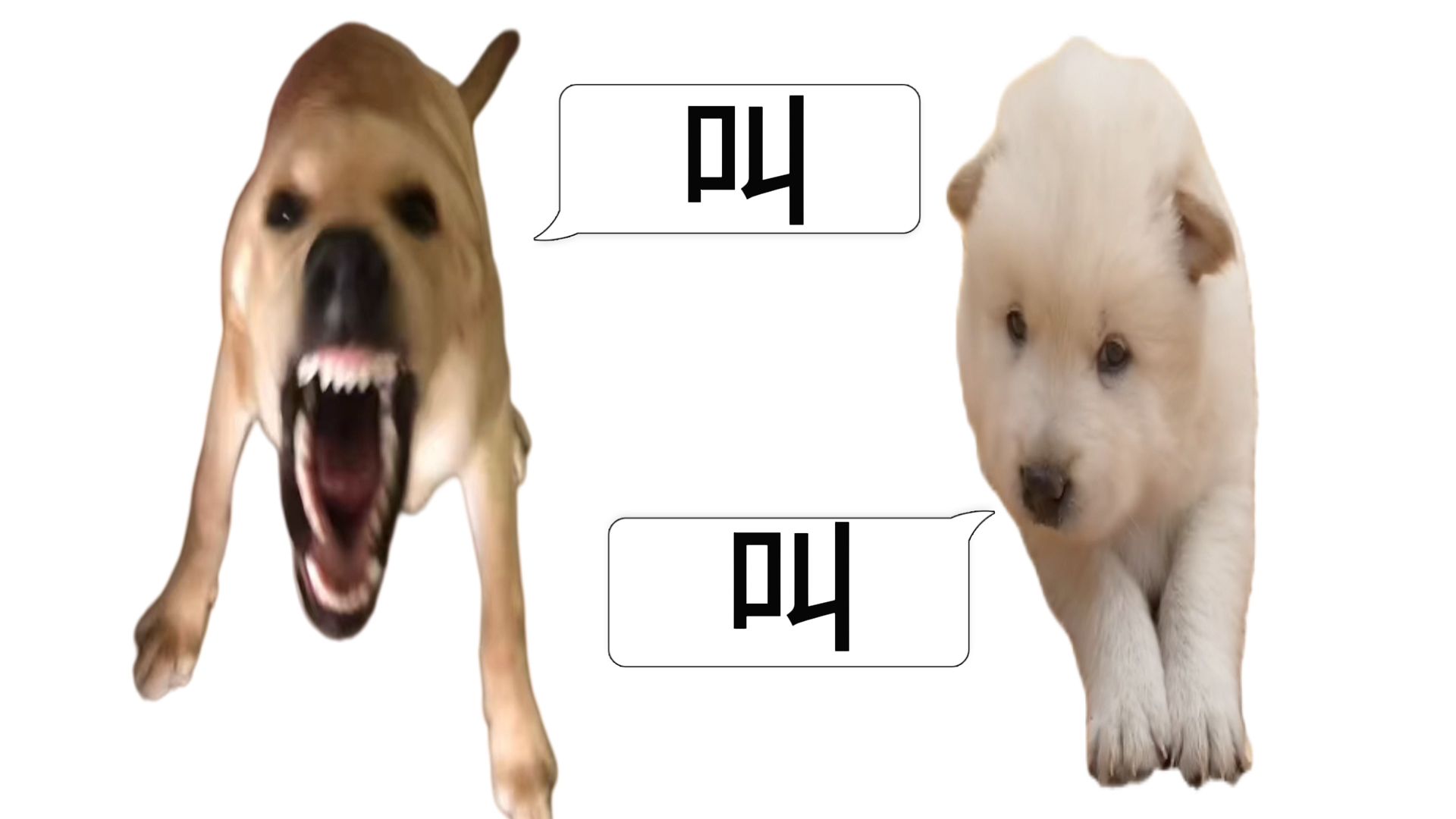 大狗？小狗？叫！！！！！
