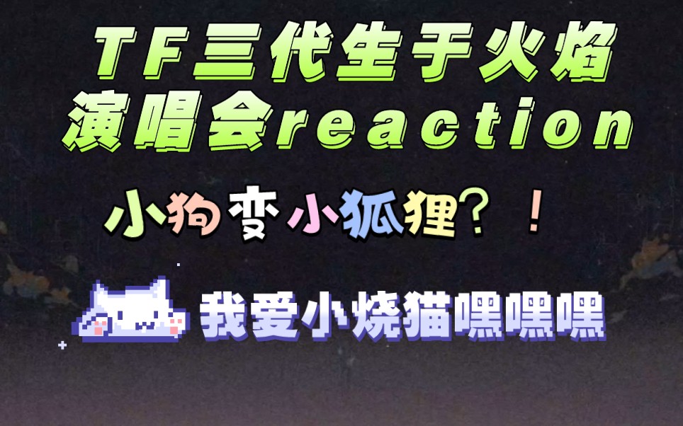 【 TF家族三代生于火焰演唱会reaction】小狗变小狐狸?!我爱小烧猫哔哩哔哩bilibili