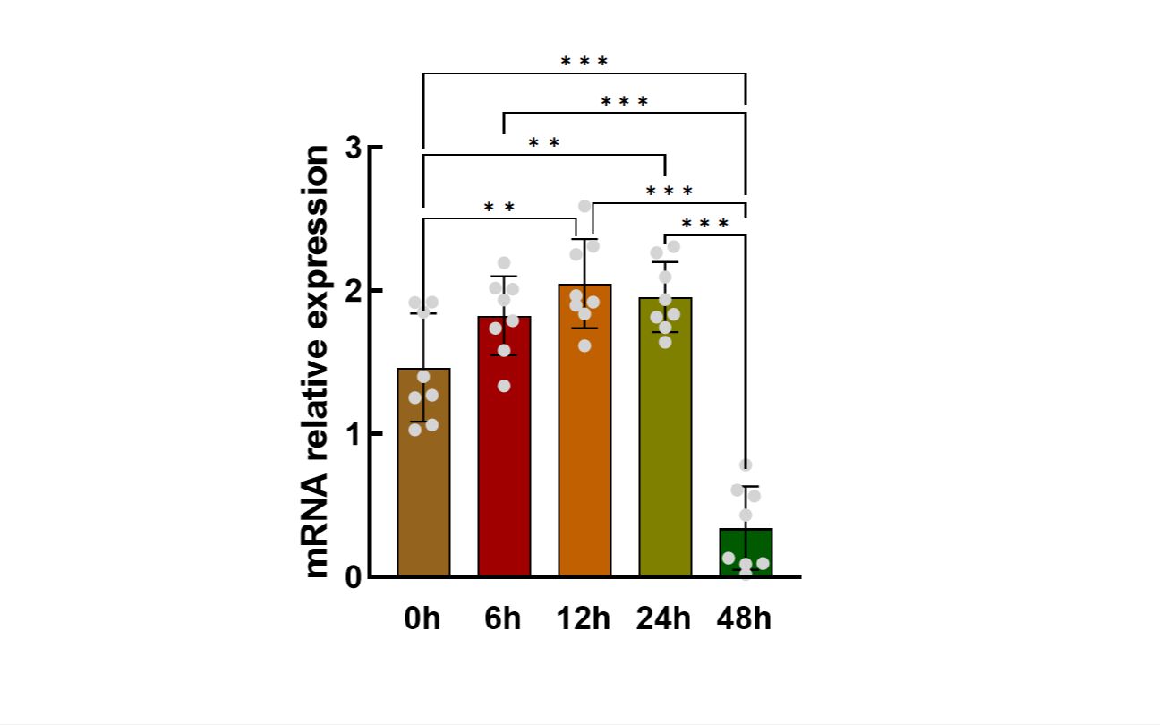 【研究生】Graphpad Prsim进行单因素重复测量方差分析并绘制柱形图-自动添加显著性字母-带误差线-散点