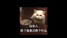 【沙雕表情包配音】地图君表情包配音第二期