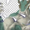【稿子】空间和龙