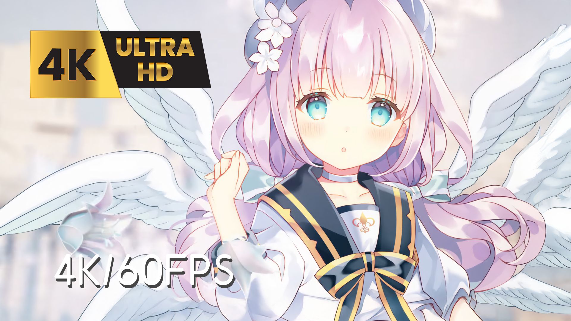 [ 𝟒𝐊/𝟔𝟎𝐅𝐏𝐒/𝐌𝐚𝐢𝐌𝐚𝐢𝐏𝐕 ] ワンダーシャッフェンの法則 - アリスシャッハと魔法の楽団