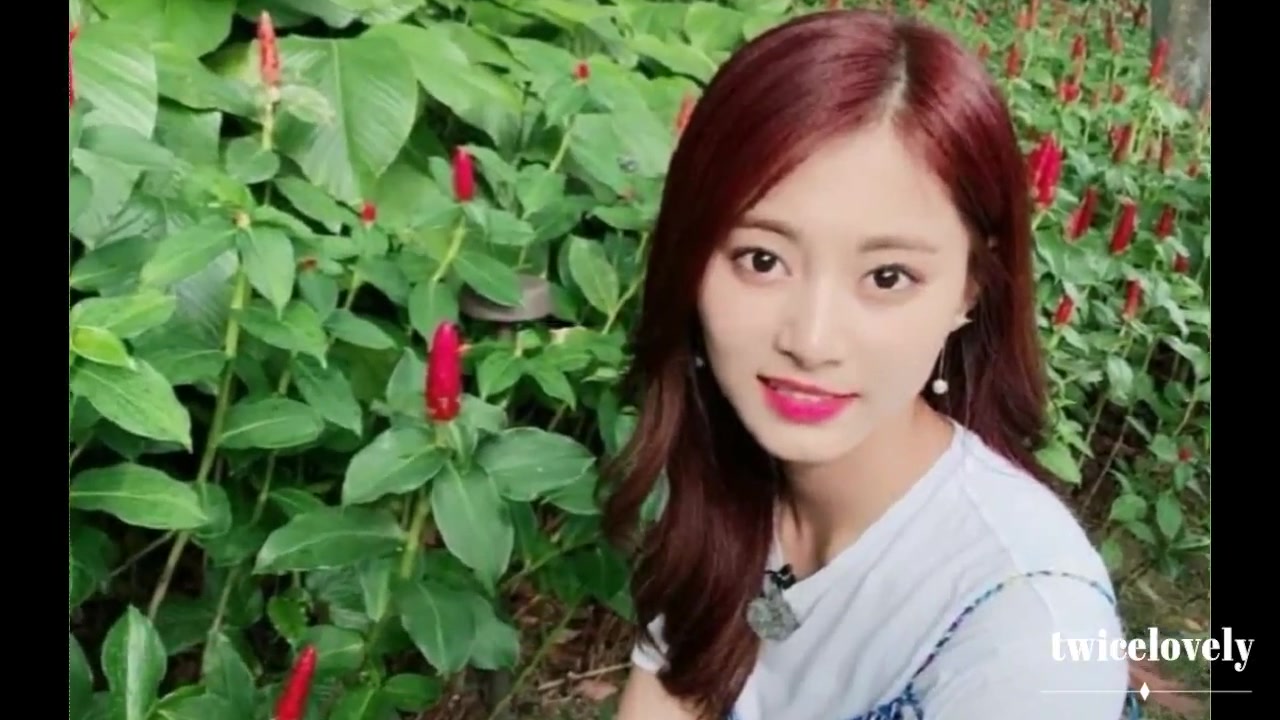 【twice】娜琏 momo 子瑜 on instagram 171227