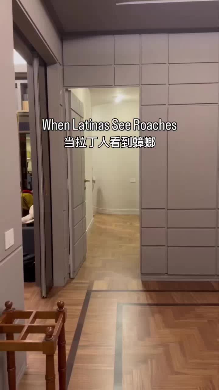 太可怕了，谁来帮我消灭蟑螂？